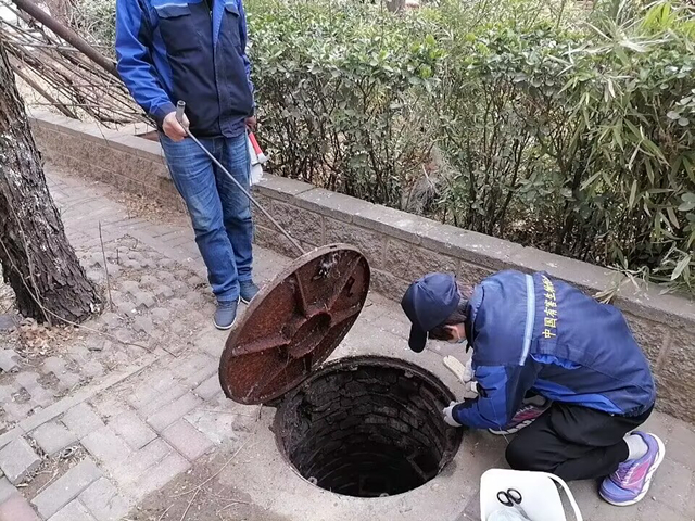 顺义上门消毒服务有哪些？北京消杀公司业务范围