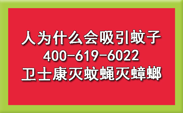 2024年人为什么会吸引蚊子400-619-6022卫士康灭蚊蝇灭蟑螂