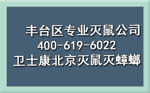 丰台区专业灭鼠公司400-619-6022卫士康北京灭鼠灭蟑螂