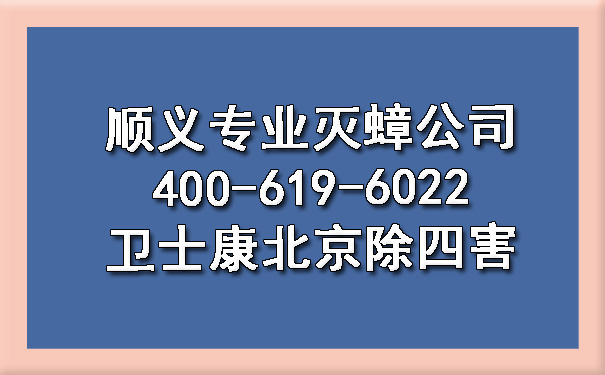 顺义专业灭蟑公司400-619-6022卫士康北京除四害