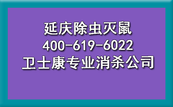 延庆除虫灭鼠400-619-6022卫士康专业消杀公司